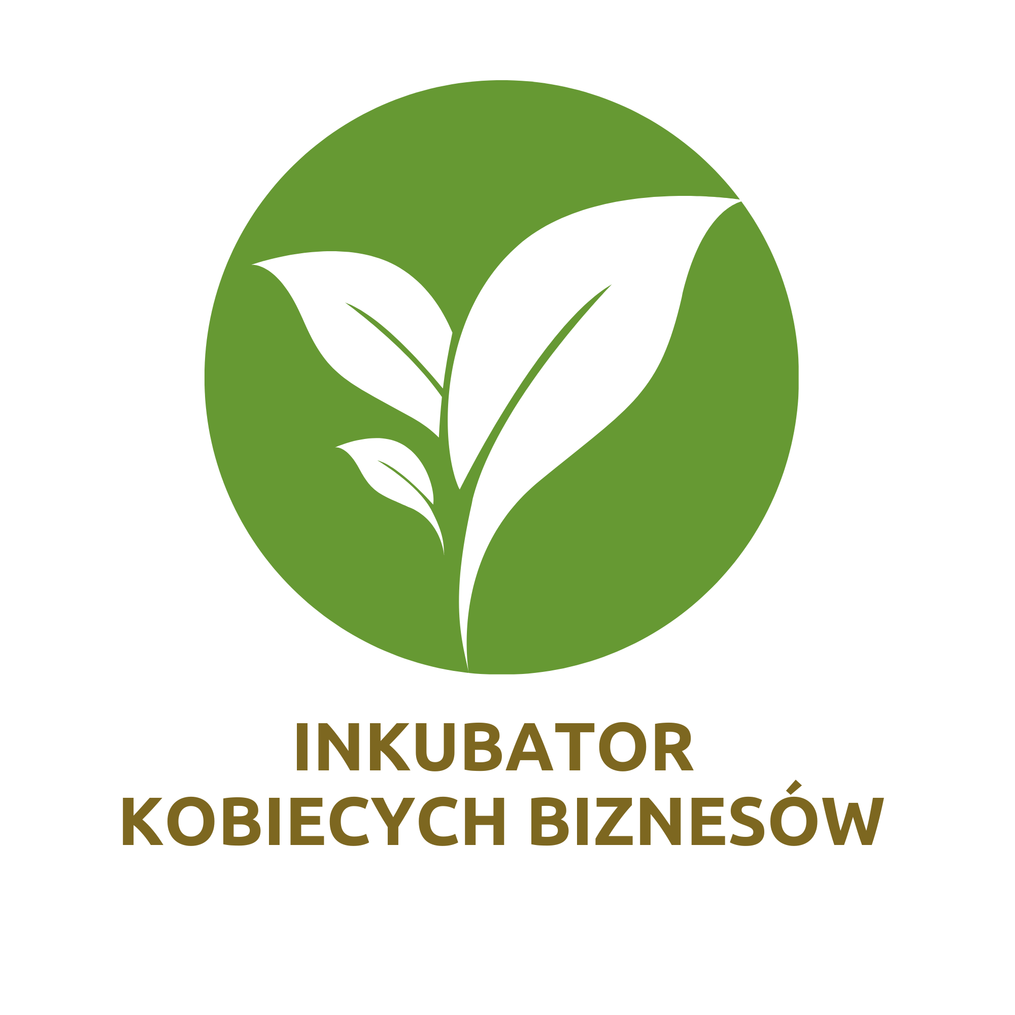 Inkubator Kobiecych Biznesów